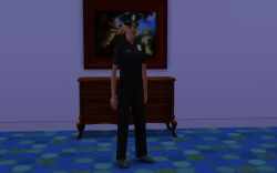 The Sims 3 Law Enforcement Police Officer Uniform