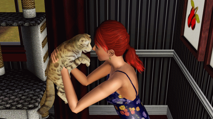 Sims 3 Pets - Elder cat adopted from shelter.