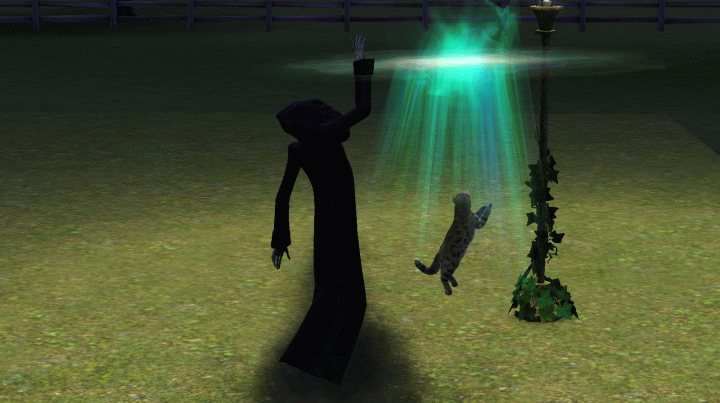 Sims 3 Pets - Grim Reaper taking cat at death.